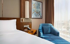 Hilton Astana: Room - photo 6