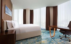 Hilton Astana: Room - photo 30