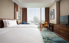 Hilton Astana: Room - photo 59