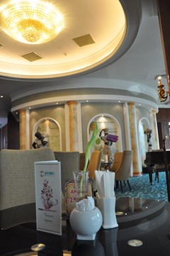 Diplomat Hotel and Business Center: Bar - photo 12