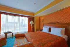 Diplomat Hotel and Business Center: Room SUITE STANDARD - photo 113