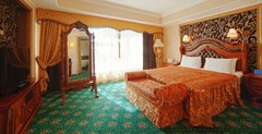 Diplomat Hotel and Business Center: Room SUITE PREMIUM - photo 209