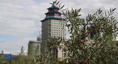 Beijing Palace Soluxe Hotel Astana: General view - photo 37