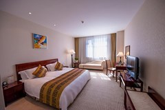 Beijing Palace Soluxe Hotel Astana: Room DOUBLE DELUXE KING BED - photo 16