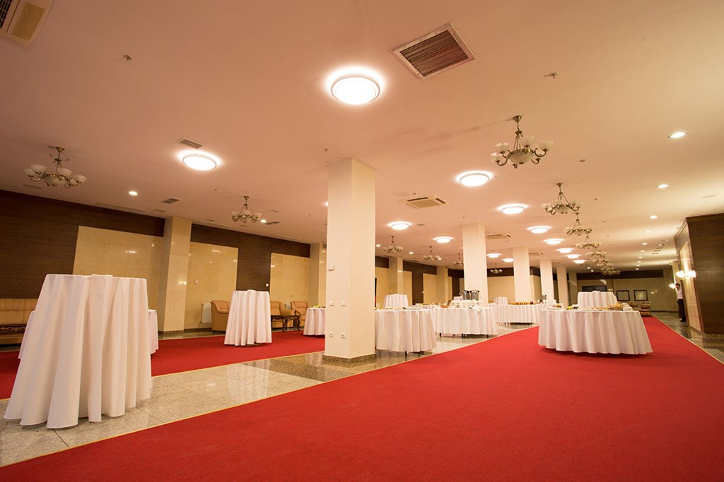 Duman Hotel: Conferences