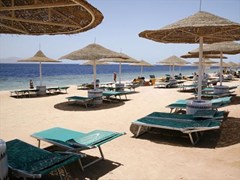 Domina Coral Bay Sultan Pool: Пляж отеля - photo 6