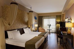 Spice Hotel & Spa: Номер Standard - photo 24