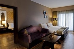 Spice Hotel & Spa: Номер Suite - photo 25