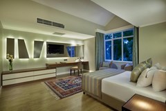 Papillon Ayscha Hotel: Номер Deluxe Villa  - photo 10