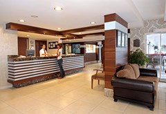 Viking Suite Hotel - photo 4