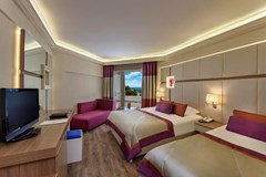 Botanik Hotel & Resort: Номер Standard - photo 11