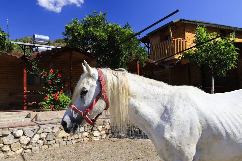 Oranj Ranch Hotel