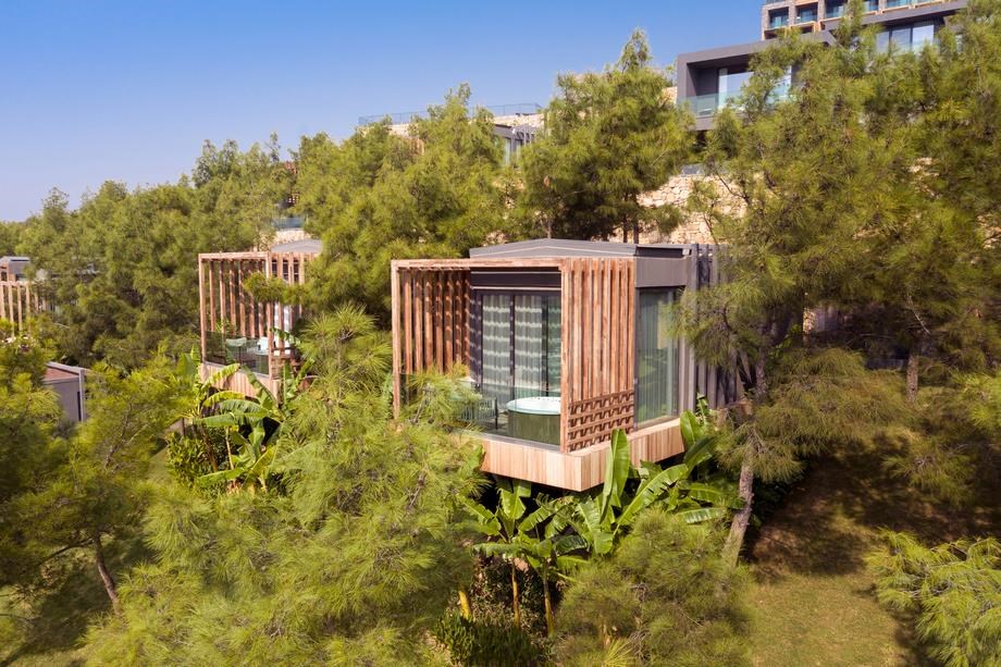 Lujo Hotel Bodrum Executive Rooms: Forest Room