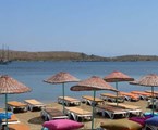 Sky Life Bodrum Hotel: Пляж рядом с отелем