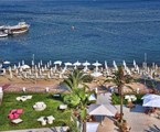 Dora Beach Hotel: Территория отеля