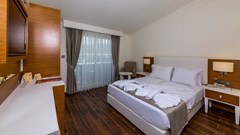 Ketenci Hotel - photo 21