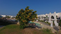 HILTON NUBIAN - photo 12