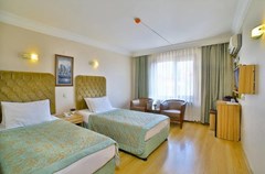 Grand Ant Hotel - photo 1