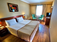 Feronya Hotel: Номер Standard - photo 2