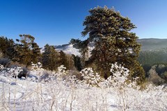 Centrosoyuz: Окрестности - photo 15