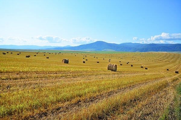 Belokurikha: Окрестности курорта