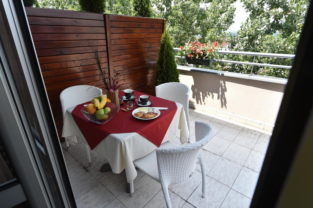 Balkan Hotel Garni: Terrace