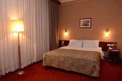 Palace Hotel: Room - photo 25