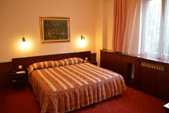 Palace Hotel: Room - photo 27