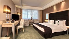 Holiday Inn Belgrade: Room - photo 19