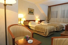 Hotel Zlatnik - Boutique Hotel Belgrade: Room TWIN CLASSIC QUEEN BED - photo 85