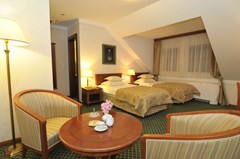 Hotel Zlatnik - Boutique Hotel Belgrade: Room TWIN CLASSIC QUEEN BED - photo 88