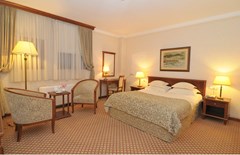 Hotel Zlatnik - Boutique Hotel Belgrade: Room SINGLE CLASSIC QUEEN BED - photo 93