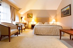 Hotel Zlatnik - Boutique Hotel Belgrade: Room SINGLE CLASSIC QUEEN BED - photo 95