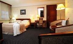 Hotel Zlatnik - Boutique Hotel Belgrade: Room SINGLE CLASSIC QUEEN BED - photo 96