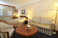 Hotel Zlatnik - Boutique Hotel Belgrade: Room TWIN CLASSIC QUEEN BED - photo 102