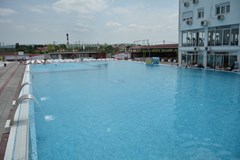 FLAMINGO RESORT: Pool - photo 5