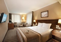 Dedeman Istanbul: Room DOUBLE DELUXE - photo 2