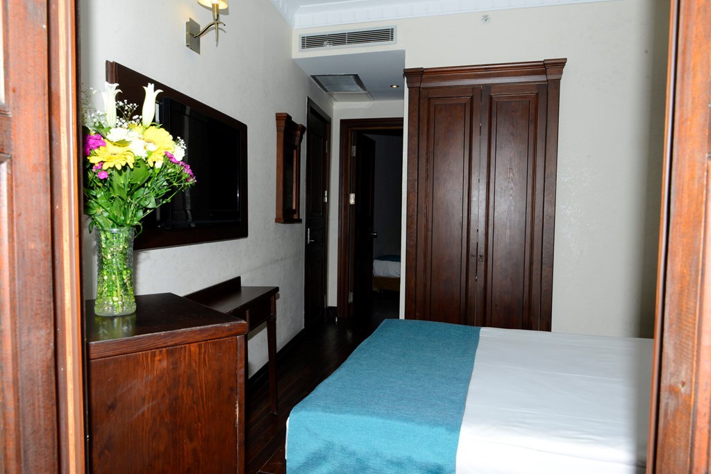 Atik Palace Hotel: Room DOUBLE STANDARD