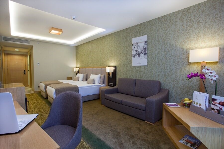 The Parma Hotel & Spa Taksim: General view