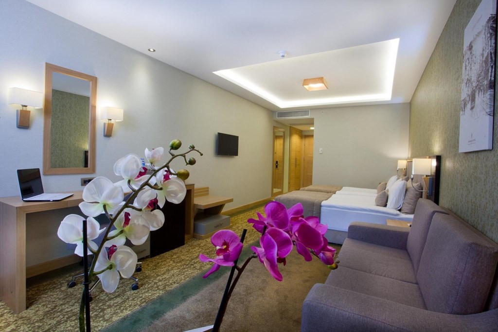 The Parma Hotel & Spa Taksim: Room