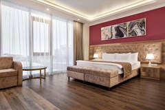 Ramada by Wyndham Shymkent: Room DOUBLE STANDARD - photo 2