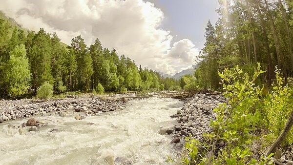 Laguna (Cheget) Otel`: Территория