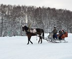 Olimp Dom otdy`xa: Катание в санях