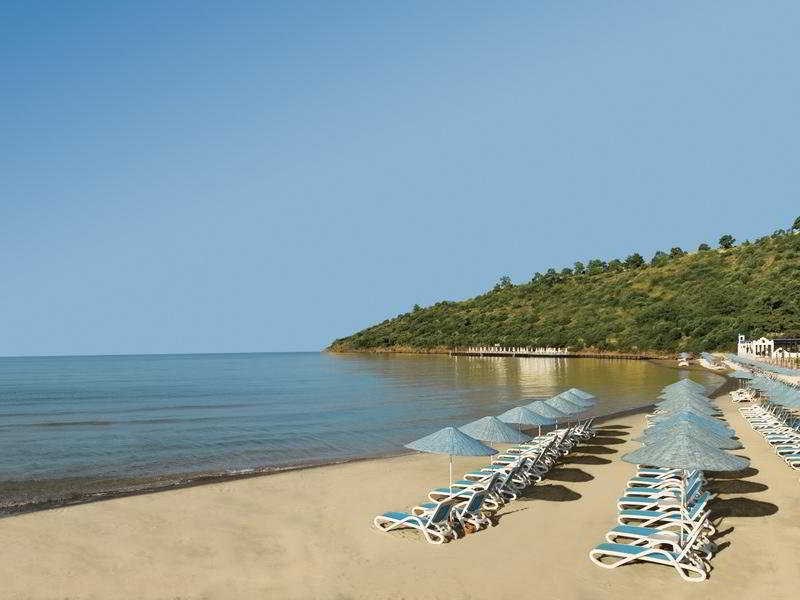 Paloma Pasha Resort: Beach