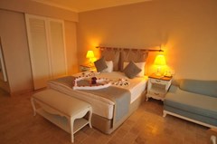 Andriake Beach Hotel - photo 11