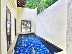 Hibiscus Beach Hotel: Beach Villa with Plunge Pool - photo 15