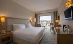 Radisson Blu Resort & SPA Cesme: Room - photo 41