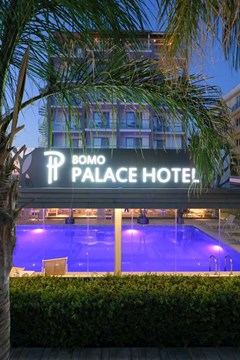 Bomo Palace Hotel - photo 9