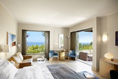 Daios Cove Luxury Resort & Villas  - photo 50