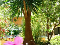 Alkionis Hotel: Garden - photo 1